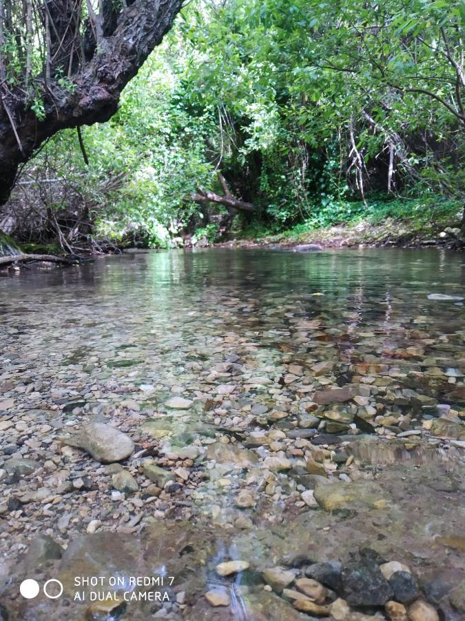 Alojamientos Sierra De Cadiz Benamahoma Zewnętrze zdjęcie