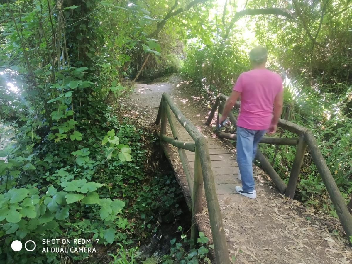 Alojamientos Sierra De Cadiz Benamahoma Zewnętrze zdjęcie