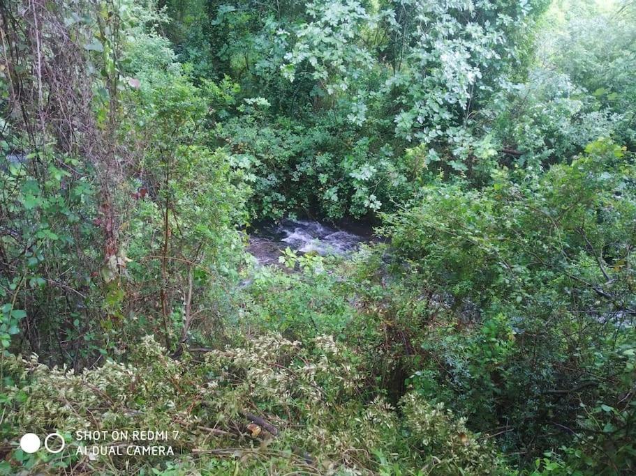 Alojamientos Sierra De Cadiz Benamahoma Zewnętrze zdjęcie
