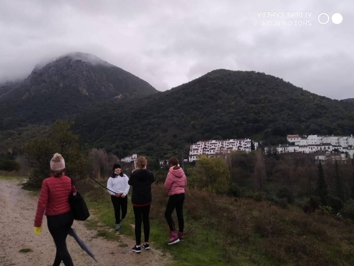 Alojamientos Sierra De Cadiz Benamahoma Zewnętrze zdjęcie