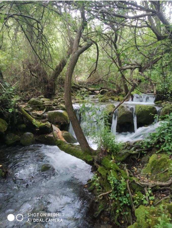 Alojamientos Sierra De Cadiz Benamahoma Zewnętrze zdjęcie