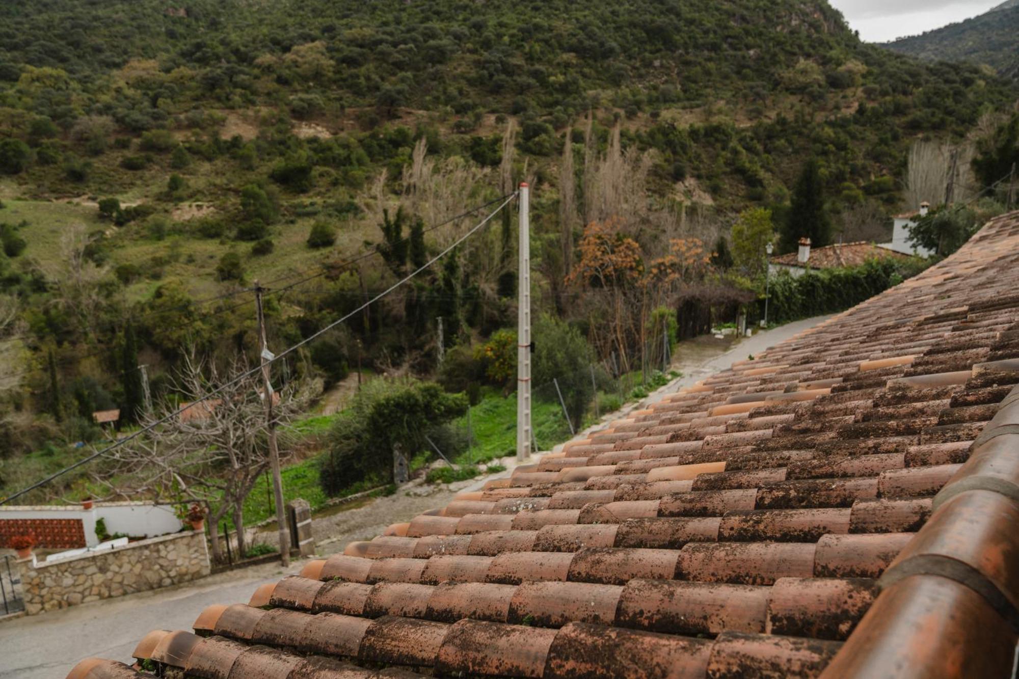 Alojamientos Sierra De Cadiz Benamahoma Zewnętrze zdjęcie