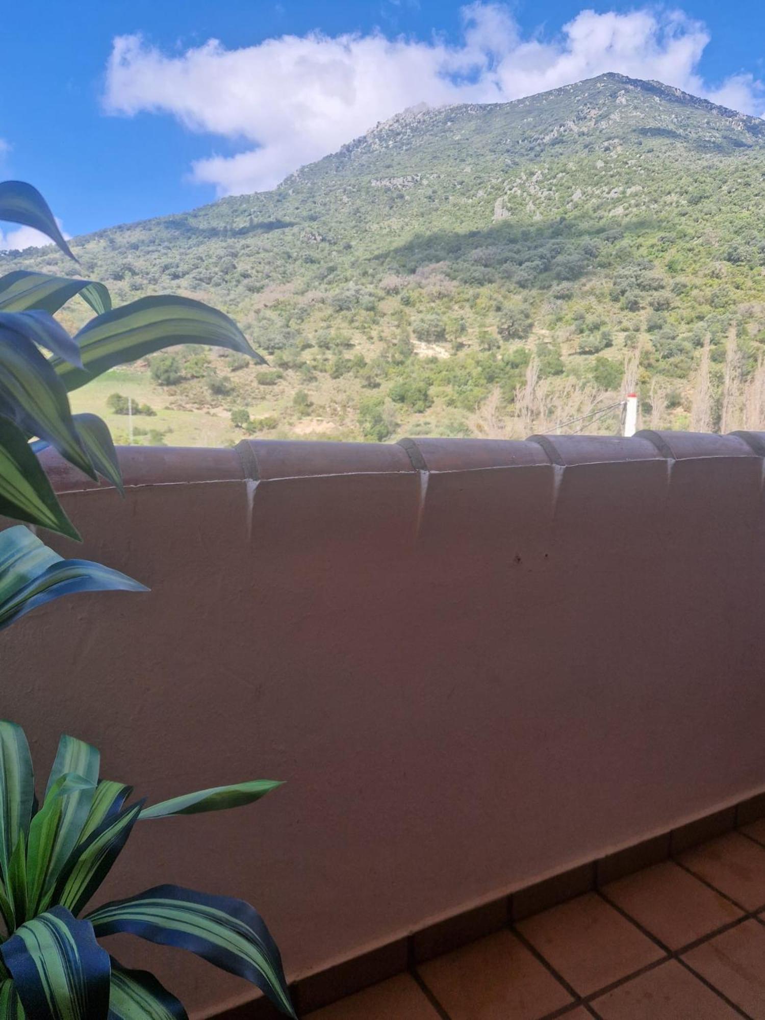 Alojamientos Sierra De Cadiz Benamahoma Zewnętrze zdjęcie